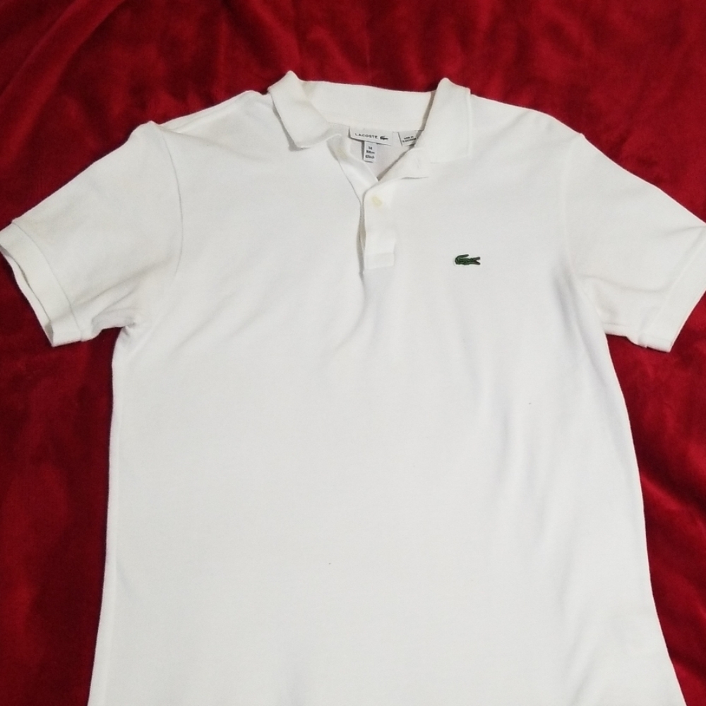 la coste boys shirt